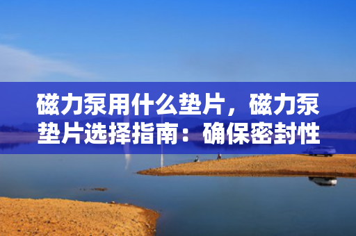 磁力泵用什么垫片，磁力泵垫片选择指南：确保密封性能与泵效的关键