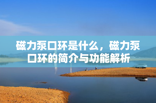 磁力泵口环是什么，磁力泵口环的简介与功能解析