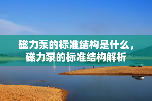 磁力泵的标准结构是什么，磁力泵的标准结构解析