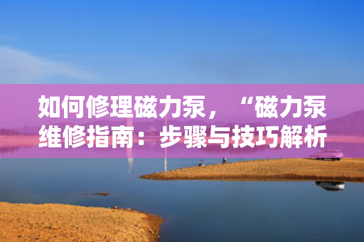 如何修理磁力泵，“磁力泵维修指南：步骤与技巧解析”