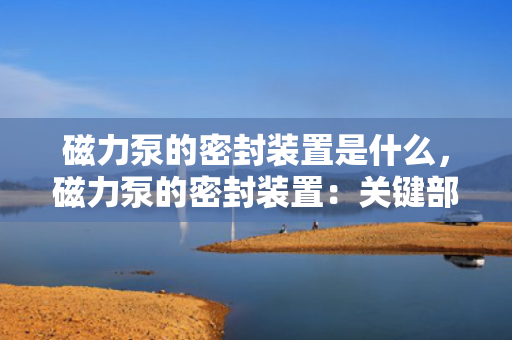 磁力泵的密封装置是什么，磁力泵的密封装置：关键部件解析与功能介绍