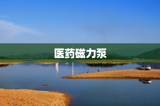 医药磁力泵