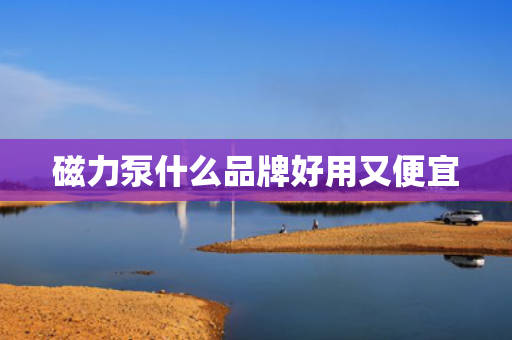 磁力泵什么品牌好用又便宜