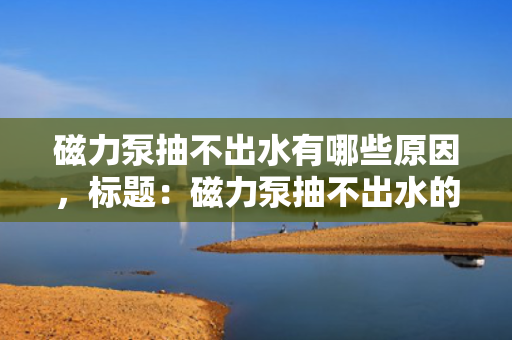 磁力泵抽不出水有哪些原因，标题：磁力泵抽不出水的原因分析
