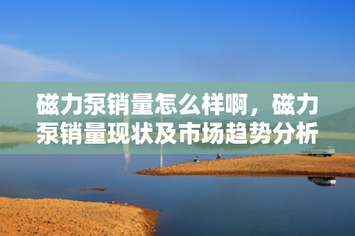 磁力泵销量怎么样啊，磁力泵销量现状及市场趋势分析