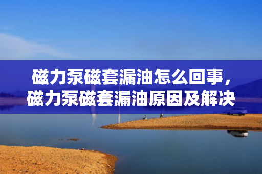 磁力泵磁套漏油怎么回事，磁力泵磁套漏油原因及解决方法