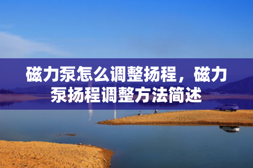 磁力泵怎么调整扬程，磁力泵扬程调整方法简述