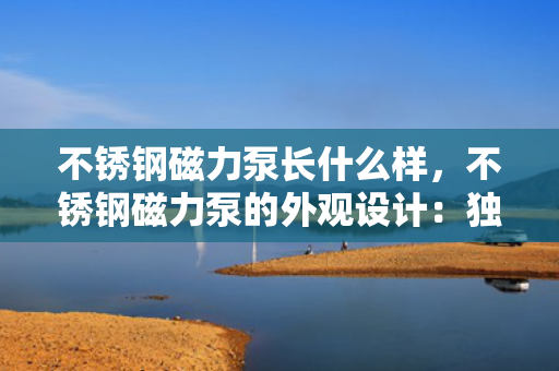 不锈钢磁力泵长什么样，不锈钢磁力泵的外观设计：独特结构与卓越性能的完美融合