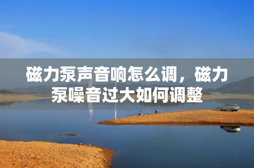 磁力泵声音响怎么调，磁力泵噪音过大如何调整