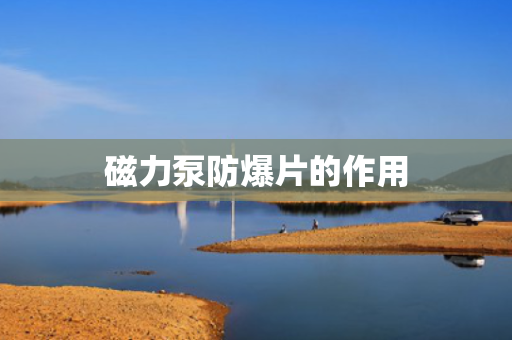 磁力泵防爆片的作用