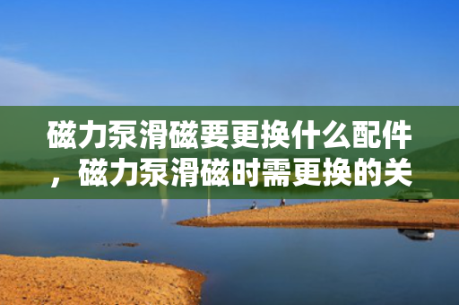 磁力泵滑磁要更换什么配件，磁力泵滑磁时需更换的关键配件：磁性联轴器组件