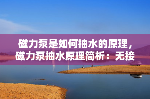 磁力泵是如何抽水的原理，磁力泵抽水原理简析：无接触驱动实现高效液体输送