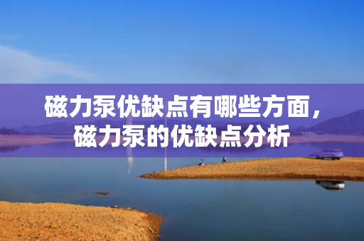 磁力泵优缺点有哪些方面，磁力泵的优缺点分析