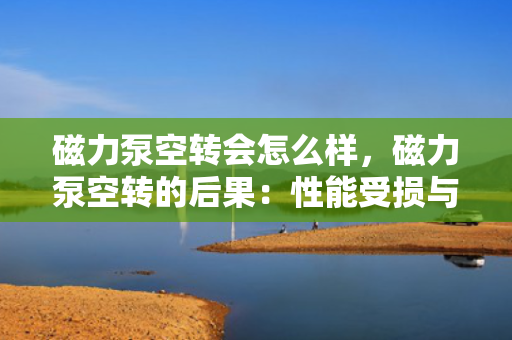 磁力泵空转会怎么样，磁力泵空转的后果：性能受损与潜在风险解析