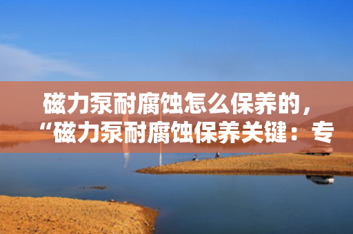 磁力泵耐腐蚀怎么保养的，“磁力泵耐腐蚀保养关键：专业维护与日常细心呵护并重”