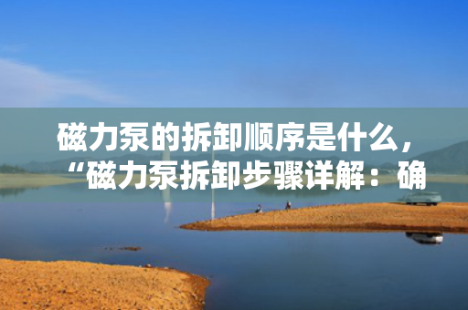 磁力泵的拆卸顺序是什么，“磁力泵拆卸步骤详解：确保安全、高效的拆卸流程”