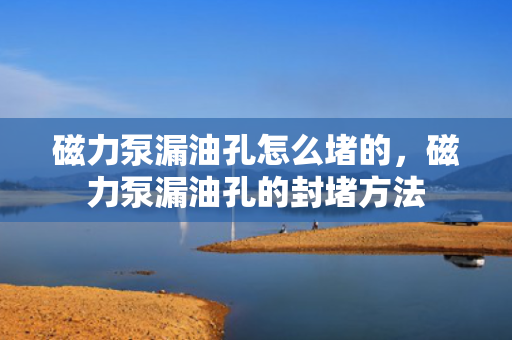 磁力泵漏油孔怎么堵的，磁力泵漏油孔的封堵方法