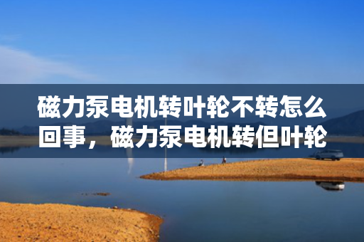 磁力泵电机转叶轮不转怎么回事，磁力泵电机转但叶轮不转的原因及解决方法