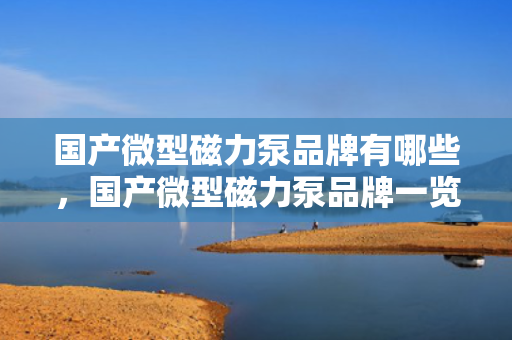 国产微型磁力泵品牌有哪些，国产微型磁力泵品牌一览：市场主流选择全解析