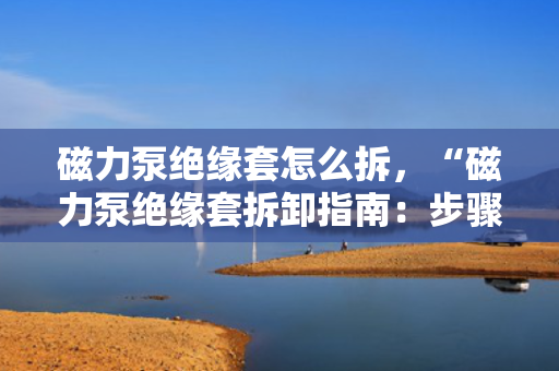 磁力泵绝缘套怎么拆，“磁力泵绝缘套拆卸指南：步骤与注意事项一览”