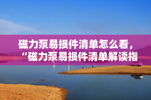 磁力泵易损件清单怎么看，“磁力泵易损件清单解读指南：快速识别与了解关键部件”