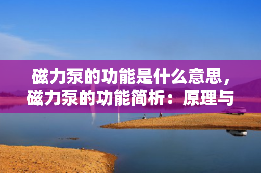 磁力泵的功能是什么意思，磁力泵的功能简析：原理与应用介绍