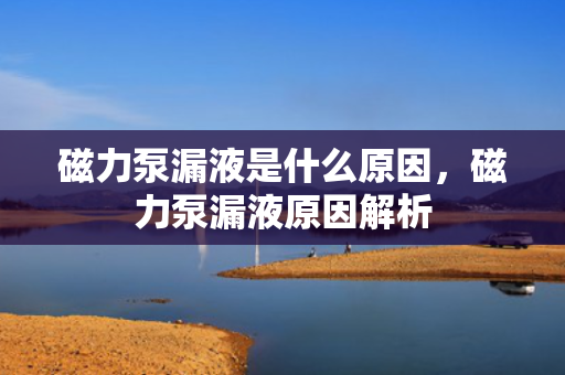 磁力泵漏液是什么原因，磁力泵漏液原因解析
