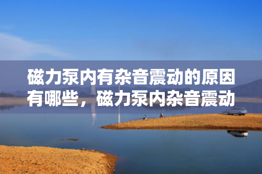 磁力泵内有杂音震动的原因有哪些，磁力泵内杂音震动原因解析