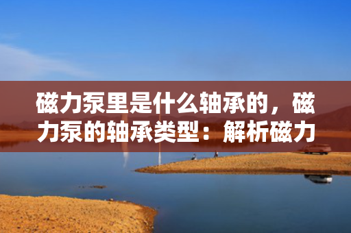 磁力泵里是什么轴承的，磁力泵的轴承类型：解析磁力泵内部轴承结构