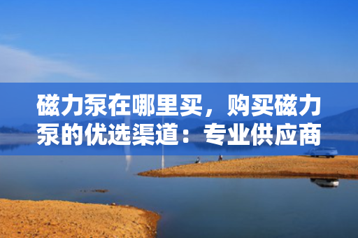 磁力泵在哪里买，购买磁力泵的优选渠道：专业供应商与在线购物平台指南