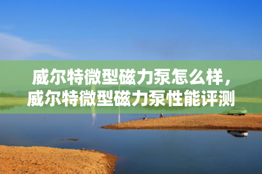 威尔特微型磁力泵怎么样，威尔特微型磁力泵性能评测及用户反馈