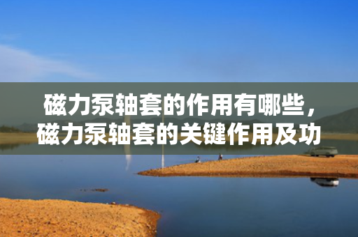 磁力泵轴套的作用有哪些，磁力泵轴套的关键作用及功能解析