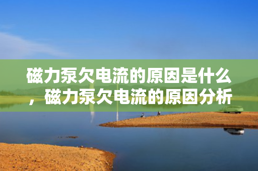 磁力泵欠电流的原因是什么，磁力泵欠电流的原因分析