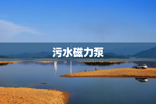 污水磁力泵