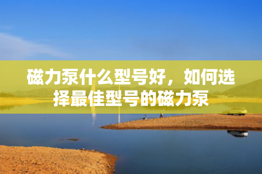 磁力泵什么型号好，如何选择最佳型号的磁力泵