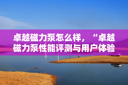 卓越磁力泵怎么样，“卓越磁力泵性能评测与用户体验”