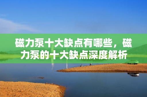 磁力泵十大缺点有哪些，磁力泵的十大缺点深度解析