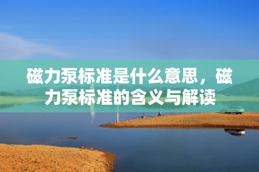 磁力泵标准是什么意思，磁力泵标准的含义与解读