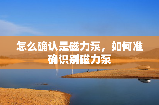 怎么确认是磁力泵，如何准确识别磁力泵