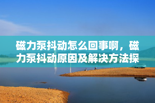 磁力泵抖动怎么回事啊，磁力泵抖动原因及解决方法探讨