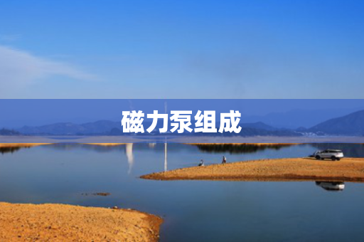 磁力泵组成