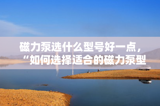 磁力泵选什么型号好一点，“如何选择适合的磁力泵型号：关键指南与实用建议”