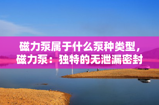 磁力泵属于什么泵种类型，磁力泵：独特的无泄漏密封泵种类型解析