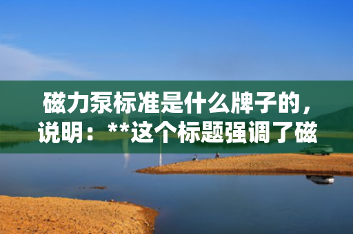 磁力泵标准是什么牌子的，说明：**这个标题强调了磁力泵标准是跨品牌的行业规范，并且突出了在选择磁力泵时，质量应是最重要的考量因素。不过，请注意，这个标题可能不完全符合您内容的重点，因为您提供的信息较为有限。如果内容主要围绕某一特定品牌的磁力泵标准展开，那么标题应相应地进行调整以更准确地反映主题。