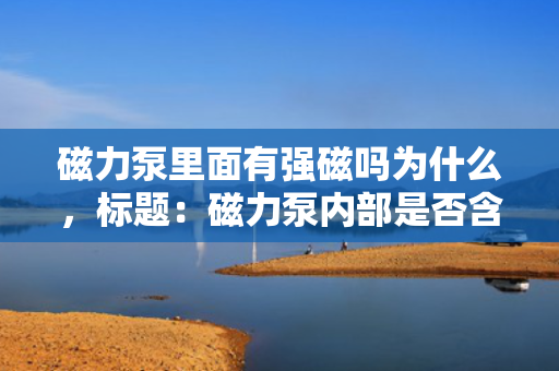 磁力泵里面有强磁吗为什么，标题：磁力泵内部是否含有强磁及其原因解析