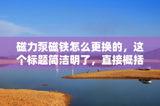 磁力泵磁铁怎么更换的，这个标题简洁明了，直接概括了文章的主题，即磁力泵磁铁的更换方法。希望符合您的要求。