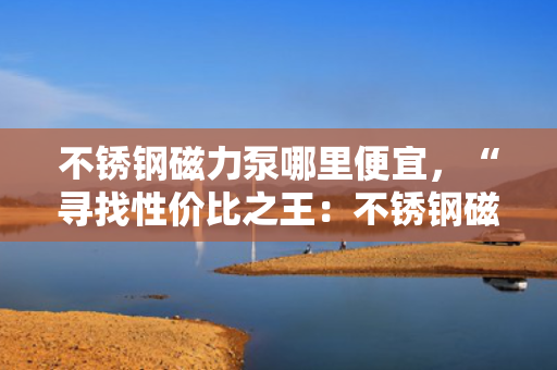 不锈钢磁力泵哪里便宜，“寻找性价比之王：不锈钢磁力泵哪里买最实惠？”