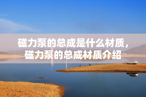 磁力泵的总成是什么材质，磁力泵的总成材质介绍