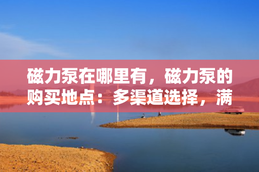 磁力泵在哪里有，磁力泵的购买地点：多渠道选择，满足您的不同需求