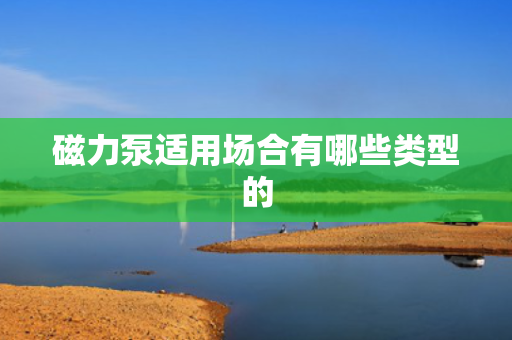 磁力泵适用场合有哪些类型的